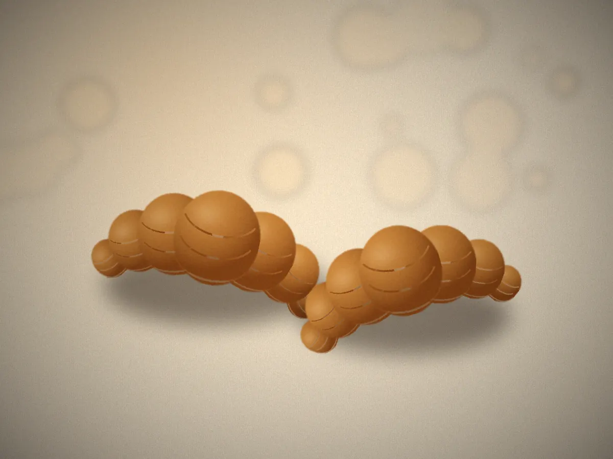 Two golden butter croissants with visible flaky layers